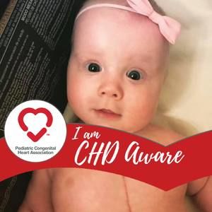 Meet your Posher, Betsy